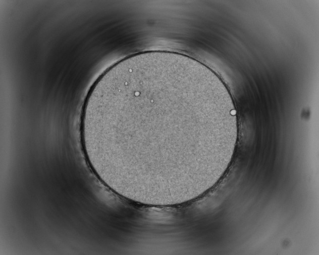 X0000103911138200810311426