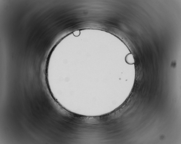X0000103911139200810311426