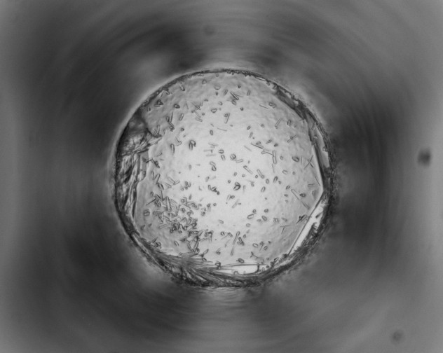 X0000103911140200810311426