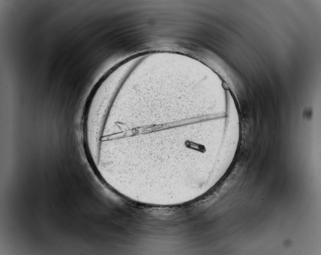 X0000103911141200810311426