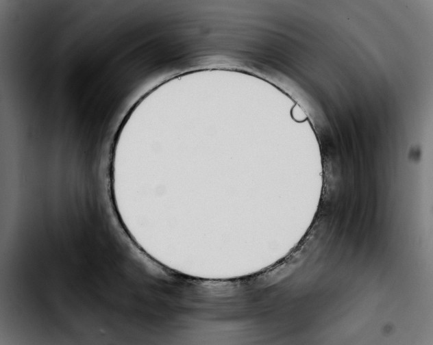 X0000103911142200810311426