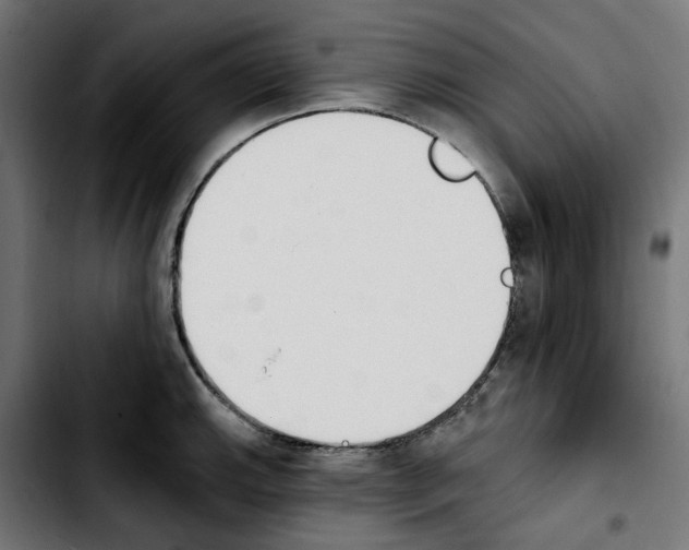 X0000103911143200810311426