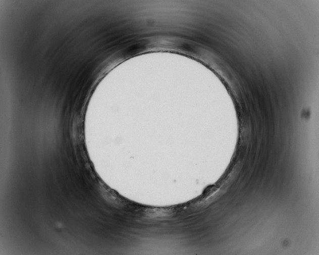 X0000103911145200810311426