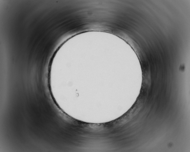 X0000103911147200810311426