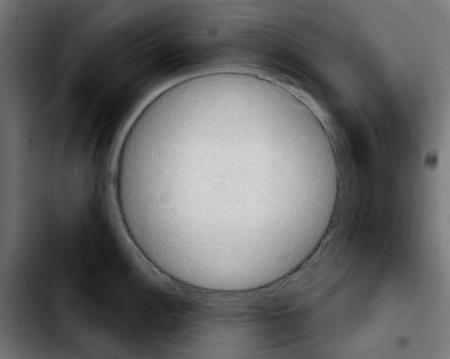 X0000103911148200810311426