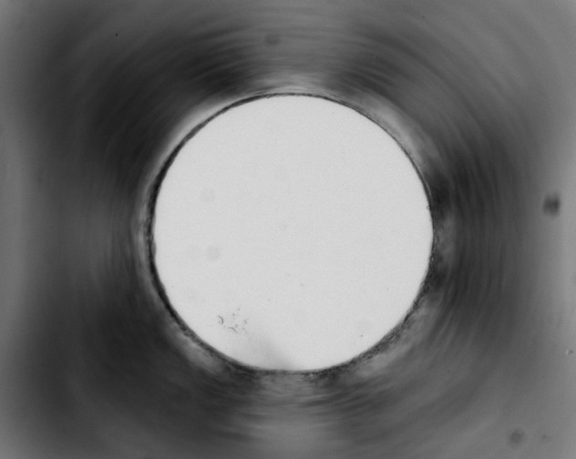 X0000103911149200810311426