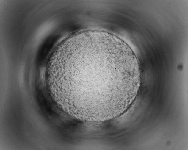 X0000103911150200810311426