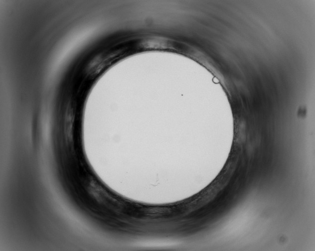 X0000103911151200810311426