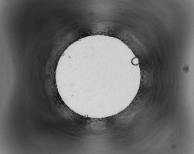 X0000103911153200810311426