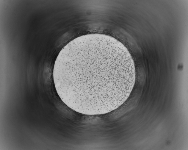 X0000103911154200810311426