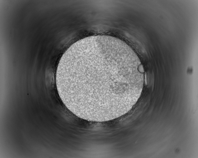 X0000103911155200810311426