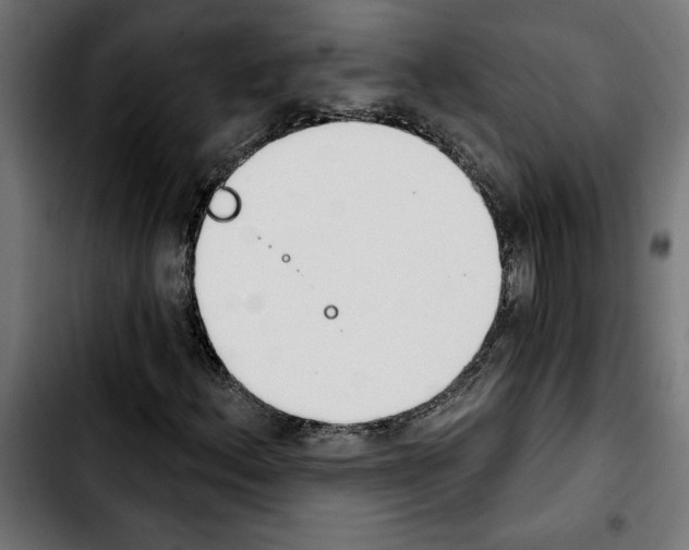 X0000103911156200810311426