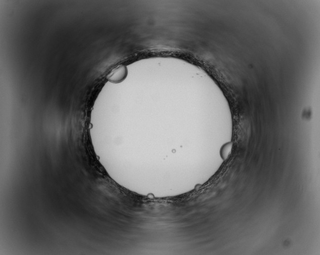 X0000103911157200810311426