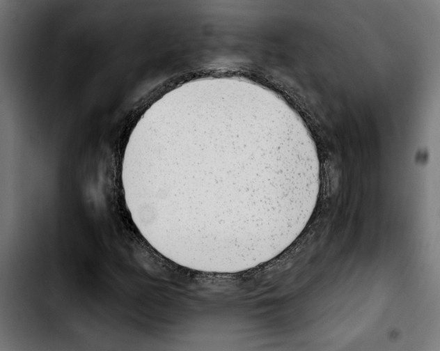 X0000103911158200810311426