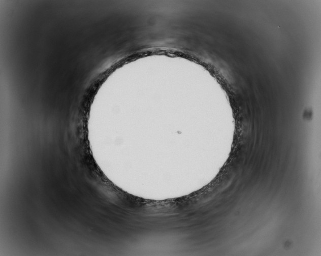 X0000103911159200810311426