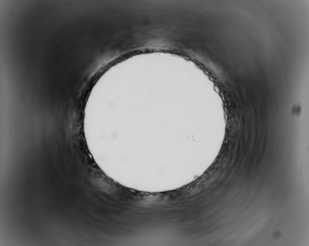 X0000103911160200810311426