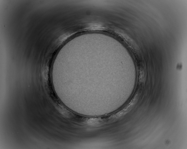 X0000103911161200810311426