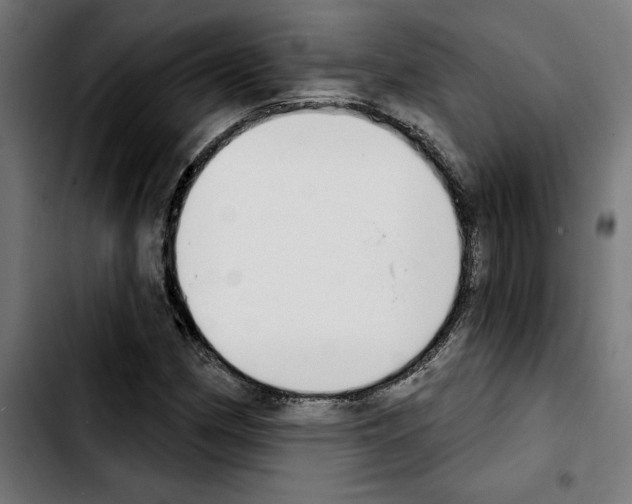 X0000103911162200810311426