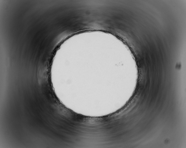 X0000103911163200810311426