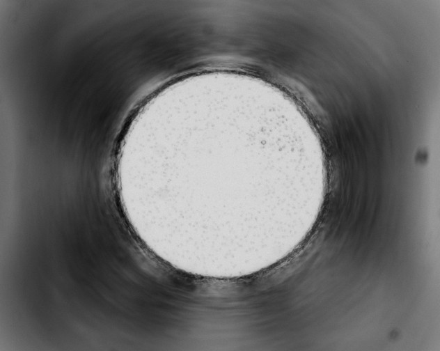 X0000103911164200810311426