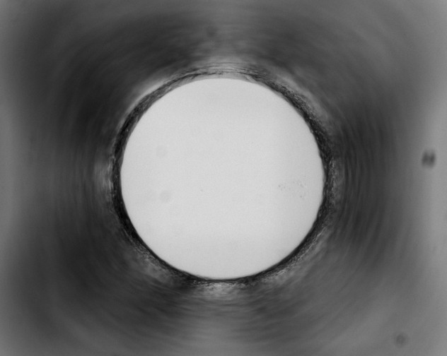 X0000103911166200810311426