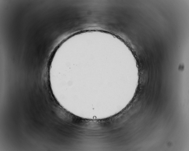 X0000103911167200810311426