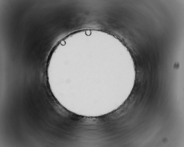 X0000103911168200810311426