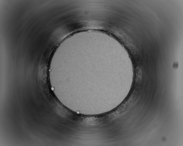 X0000103911169200810311426