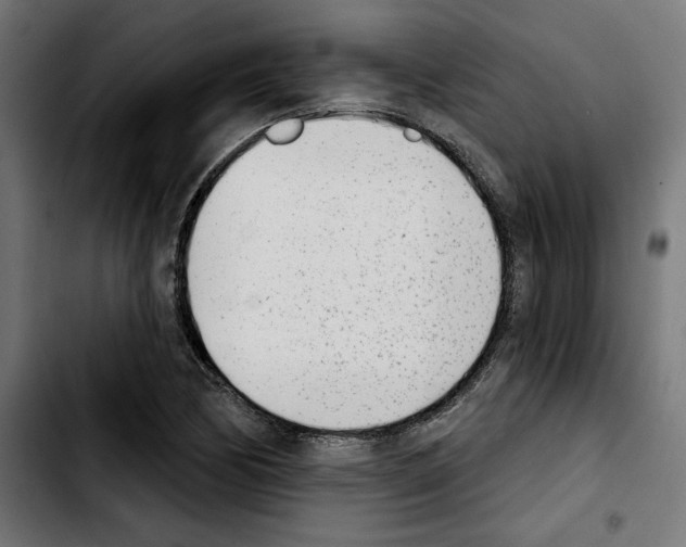 X0000103911170200810311425