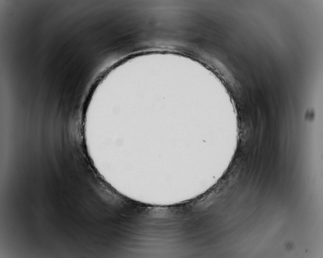 X0000103911172200810311425