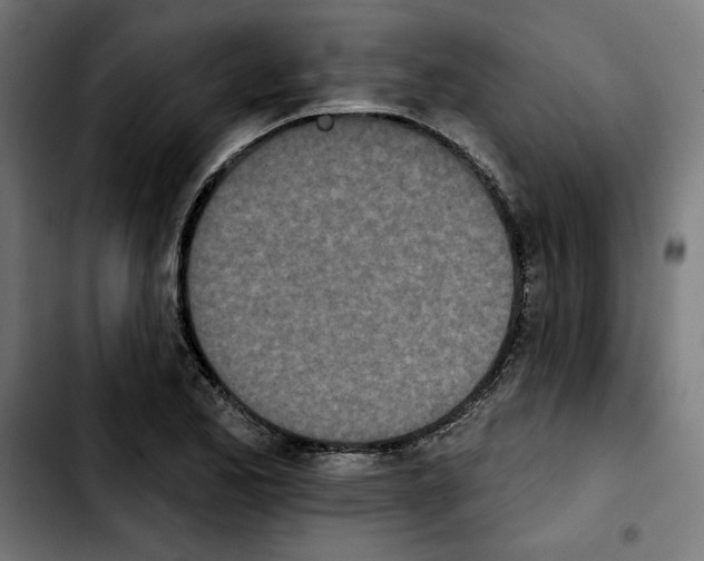 X0000103911173200810311425