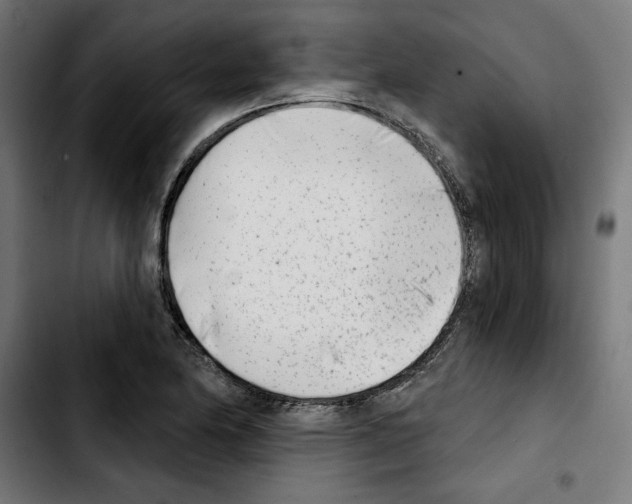 X0000103911174200810311425