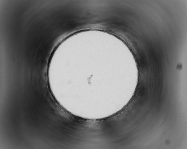 X0000103911176200810311425