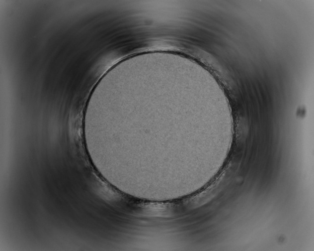 X0000103911177200810311425