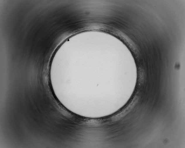 X0000103911178200810311425