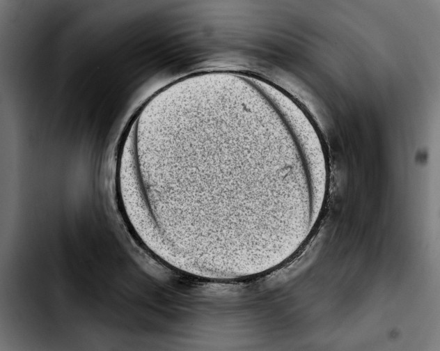 X0000103911179200810311425