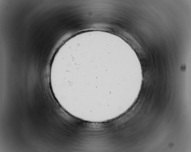 X0000103911180200810311425