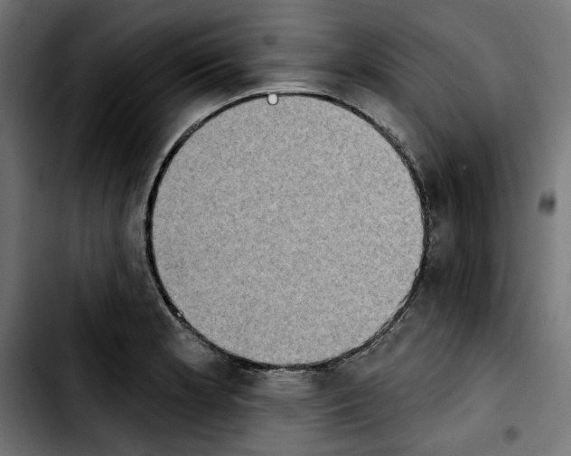 X0000103911181200810311425