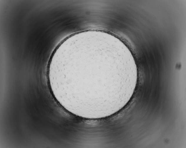 X0000103911182200810311425
