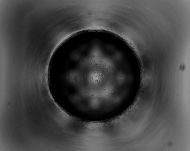 X0000103911183200810311425