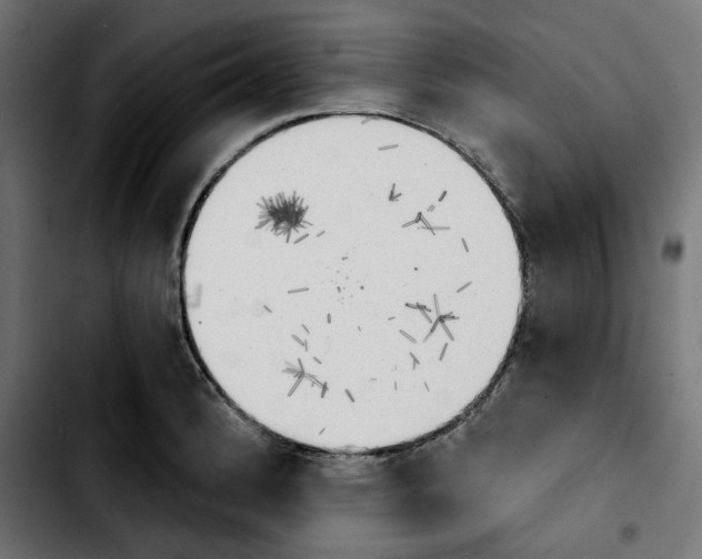 X0000103911184200810311425