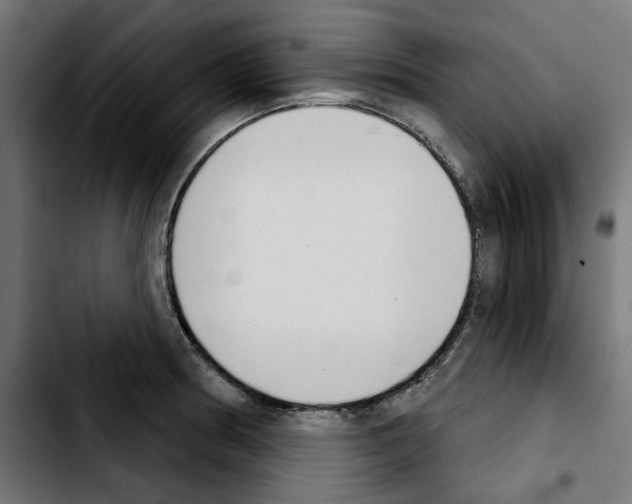 X0000103911186200810311425