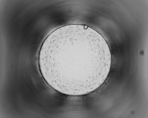 X0000103911187200810311425