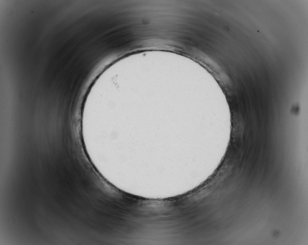 X0000103911188200810311425