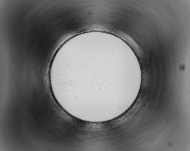 X0000103911190200810311425