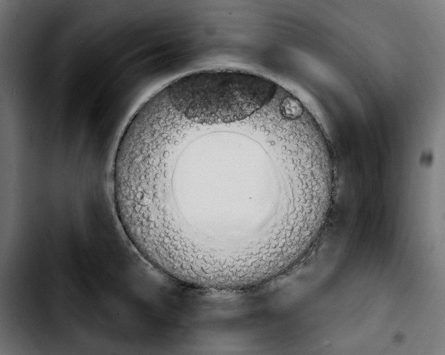 X0000103911191200810311425