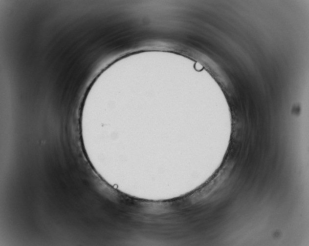 X0000103911192200810311425