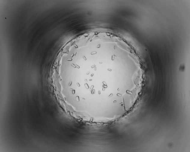 X0000103911193200810311425