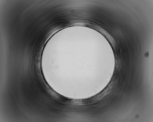 X0000103911194200810311425