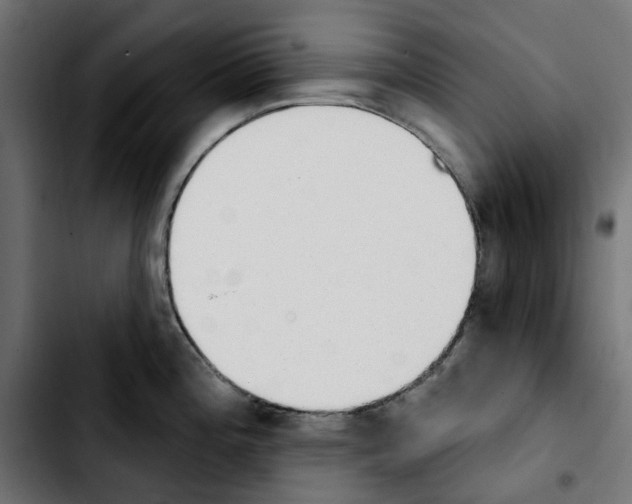 X0000103911196200810311425